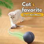 狗益智玩具生产商-新款藏食发声毛绒