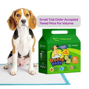 Pet Pee Pad Manufacturer - High Quality Polymer SAP Non-Woven