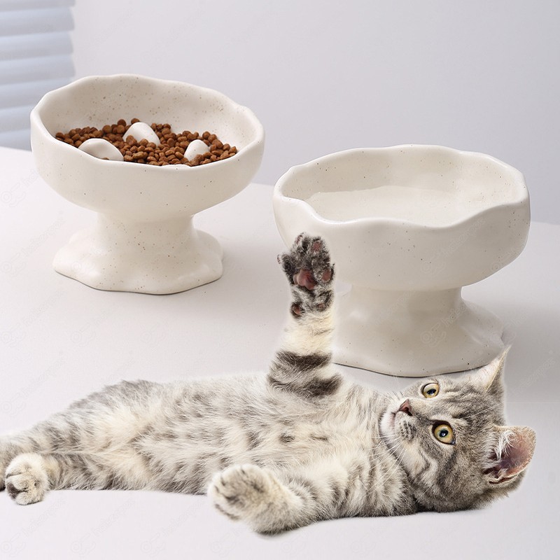 猫食碗厂家-奶油爪形高脚设计