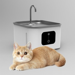 饮水机厂家-CE BSCI自动23*21*17.5批发