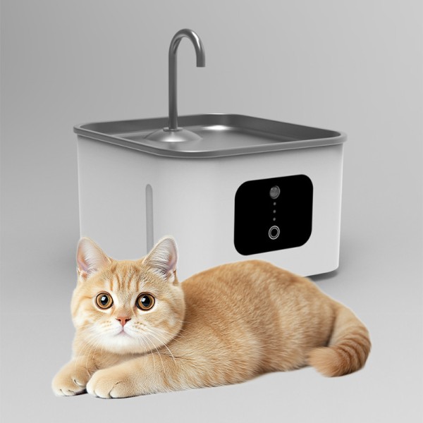 饮水机厂家-CE BSCI自动23*21*17.5批发