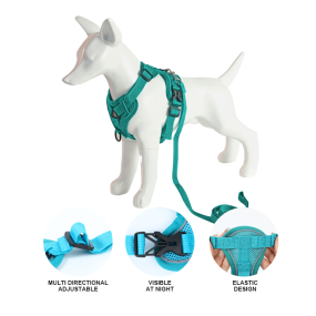 Pet Collar Supplier - 48 Hour Shipping Cute Adjustable Ventilate