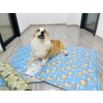 犬降温垫供应商-可定制压力激活凝胶防水