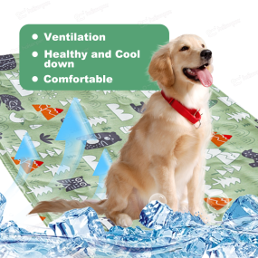 Pet Bed Factory - OEM Ultra-Soft No Slip Easy Cleaning Washable