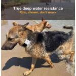 宠物GPS追踪器厂家-超耐用易安装