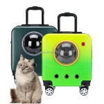 宠物旅行箱厂家-透明航空箱背包