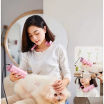 宠物吹风机厂家-1400W不锈钢低噪音