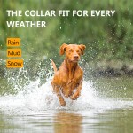 狗训练项圈厂家-3300英尺自动止吠