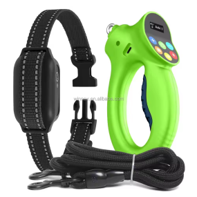 Dog Collar Manufacturer - Webbing Personalized Luxury Set