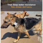 宠物追踪器厂家-实时4G GPS迷你定位器