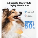 宠物毛发吸尘器厂家-60分贝低噪音修剪美容