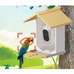 鸟喂食器厂家-WIFI太阳能高清视频自动