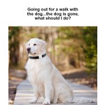 GPS追踪器厂家-便携实时追踪