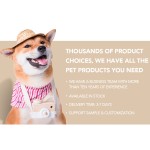 宠物吹风机厂家-1400W不锈钢低噪音