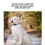 宠物GPS追踪器厂家-迷你防水遥控