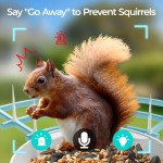 鸟喂食器厂家-太阳能AI摄像头自动捕捉