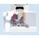 宠物喂食器厂家-涂鸦APP高清摄像头自动