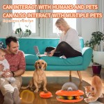 宠物咀嚼玩具厂家-互动漏孔飞盘