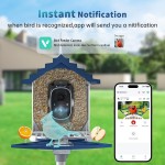 鸟喂食器厂家-AI智能4MP高清太阳能