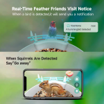 鸟喂食器厂家-太阳能AI物种识别