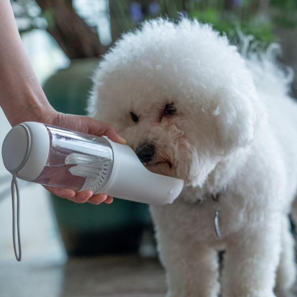 宠物水瓶厂家-户外易清洁过滤水