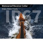 狗训练项圈厂家-蜂鸣震动电击可充电