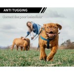 狗训练项圈厂家-智能吠叫遥控尼龙