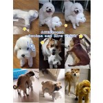 狗玩具厂家-生理需求训练缓解