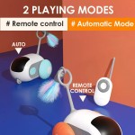 猫玩具厂家-电动遥控羽毛逗猫棒