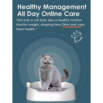 猫床厂家-智能APP温控加热