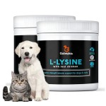 L-赖氨酸粉厂家-可定制鱼味免疫健康支持