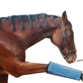 Horse Leg Protectors Manufacturer - 4 PCS Mesh Anti-Slip Fly Boots