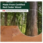 桑拿温度计厂家-2合1华氏摄氏度湿度计