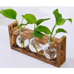 水培花瓶厂家-圆形心形玻璃木质