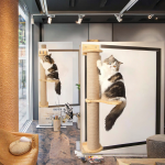 宠物骨灰盒厂家-大号木质带相框