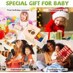 蒙特梭利盒厂家-物体恒存硬币盒