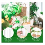 繁殖站厂家-双试管木质支架