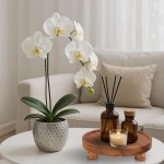 圆托盘厂家-10英寸金合欢木多功能展示