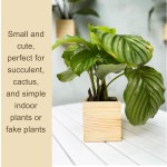 悬挂花盆厂家-2件套天然木质中心装饰