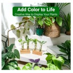 繁殖站厂家-双试管木质支架