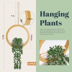 墙面装饰厂家-波西米亚风格人造多肉