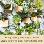 悬挂花盆厂家-2件套天然木质中心装饰