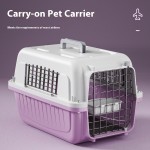 宠物运输箱厂家-PP塑料天窗背包可登机