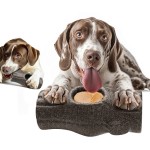 猫砂盆厂家-大号20L封闭异味控制塑料