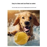 猫抓板厂家-多功能壁挂剑麻