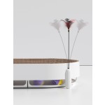 猫抓板厂家-多功能纸板椭圆形耐用