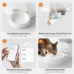 宠物喂食器饮水机生产商-二合一智能自动设计