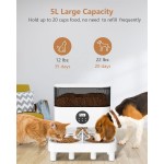 智能宠物喂食器供应商-芯片食物分配器猫碗