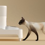 宠物喂食器支架生产商-脊椎保护小动物