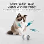 自动猫玩具生产商-智能羽毛互动自玩